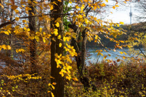 Berlin, Wannsee, herbstliche Pfaueninsel, Blick zum Schäferberg Berlin, Wannsee, herbstliche Pfaueninsel, Blick zum Schäferberg